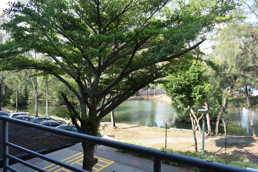 D'Wharf Hotel PD Waterfront - Image 1