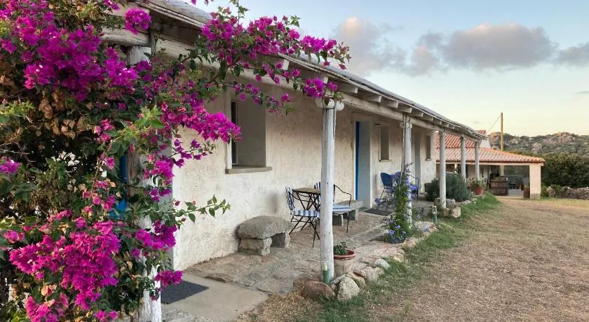 Agriturismo La Tana di Lu Maccioni - Image 1