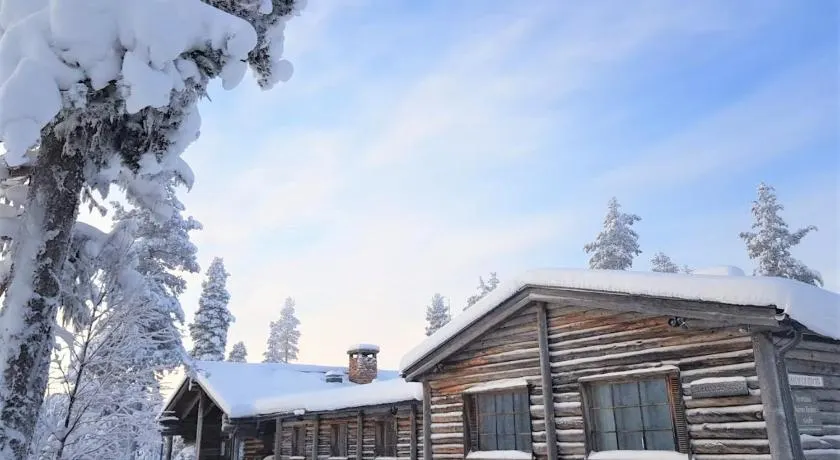 Tunturipöllö / Lapland, Saariselkä - Image 1