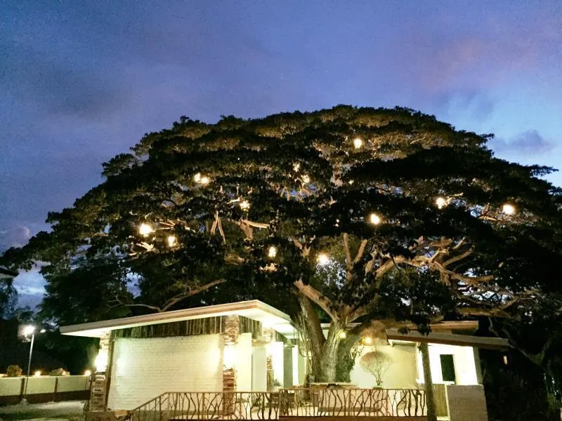 Serviced Apartments by Eco Hotel Bohol - Image 1