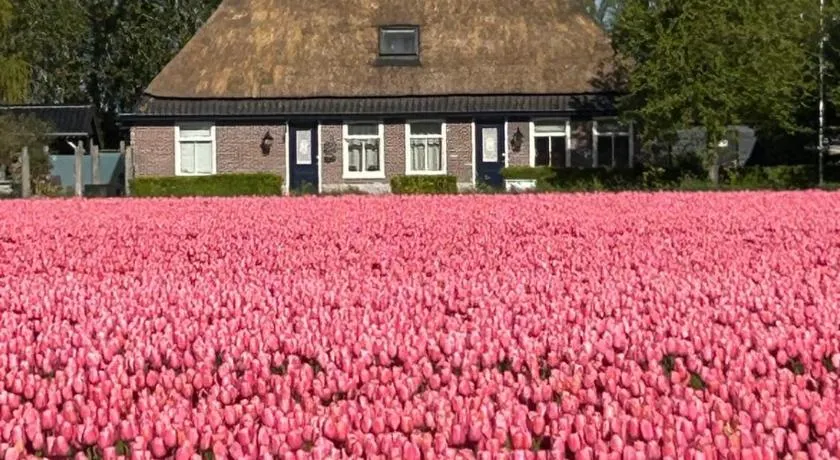 B&B Idylle aan Zee incl 2 Wellnessstudios - Image 1
