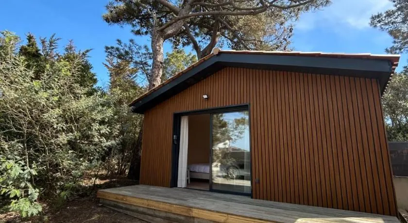 la cabane de la plage au milieu des pins parking privé 300m de la plage - Image 1
