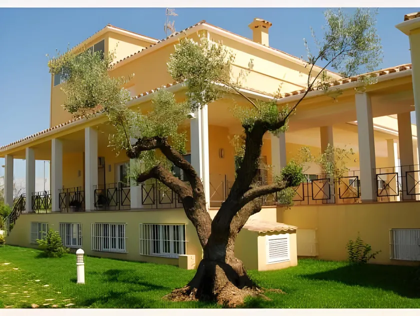 Luz de Azahar Bed and Breakfast - Image 1