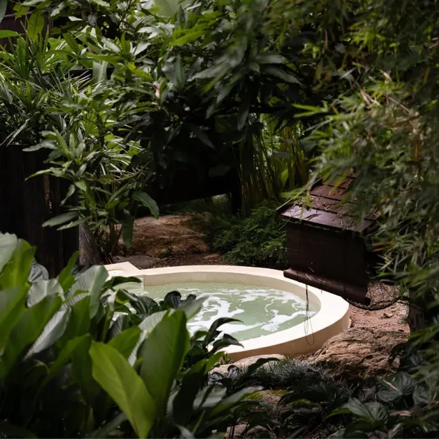Sense Rain Forest - Image 1