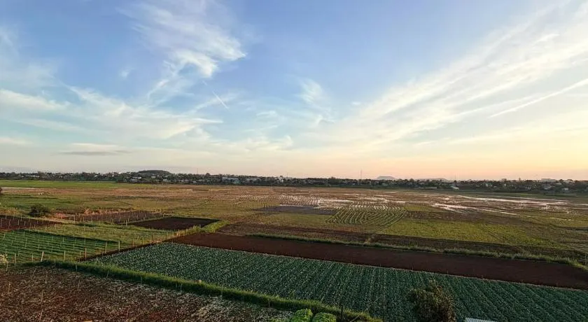 Lúa Vàng homestay - Image 1