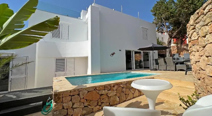 Casa Palm Tree - Image 1