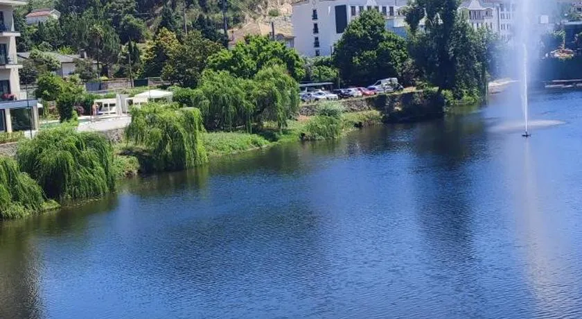 Lavanda Termas de São Pedro do Sul - Image 1