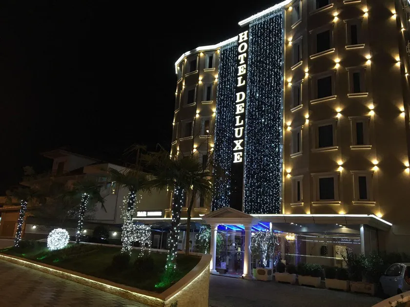 Hotel Deluxe - Image 1