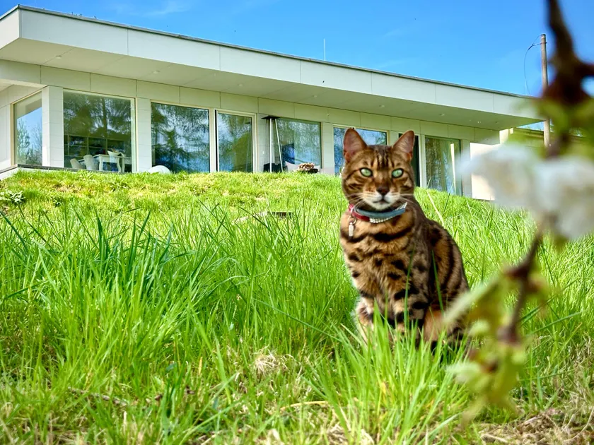 ORNI House - Image 1