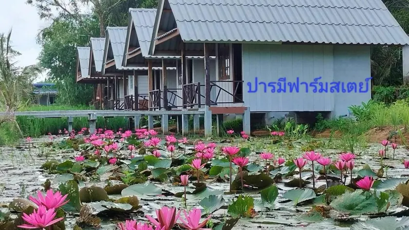ปารมีฟาร์มสเตย์ - Image 1