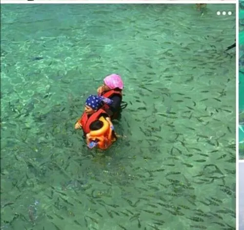 Live on sea water - Image 1