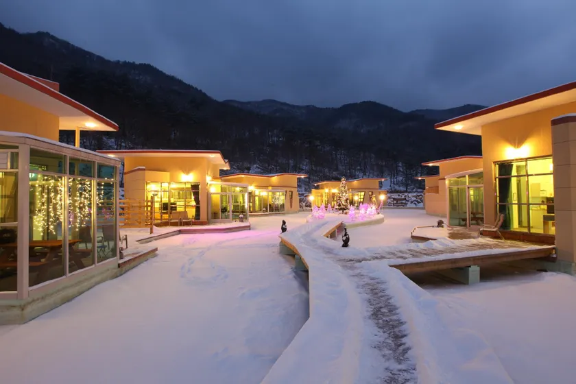 Jeongseon Dewey Tree Pension & Caravan Garden - Image 1
