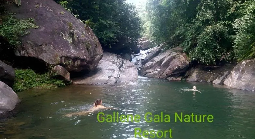 Gallene Gala Nature Resort - Image 1