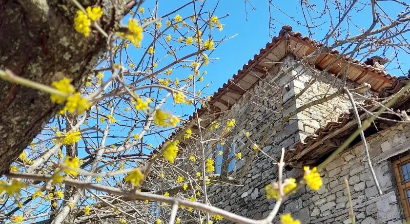 Bujtina Tusha - Image 1