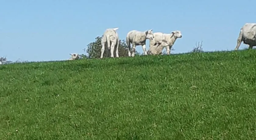 Erholung am Deich - Image 1