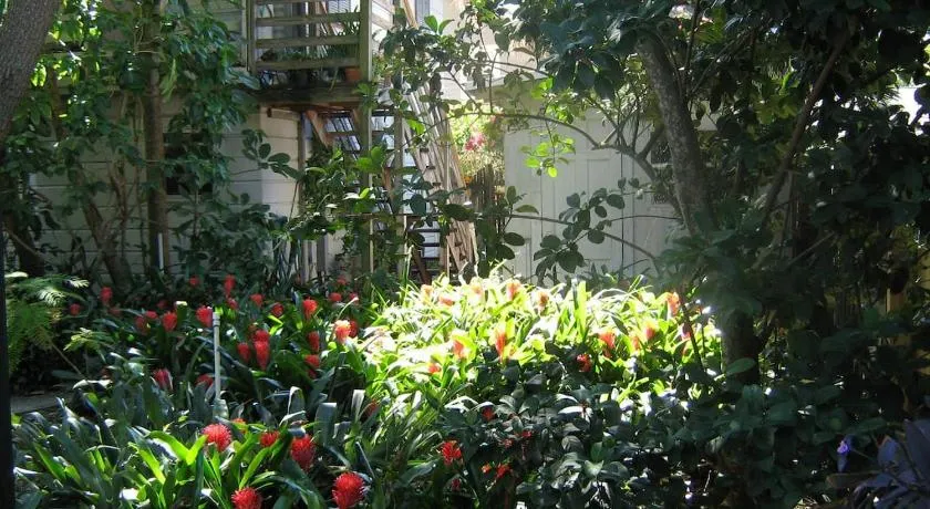 The Treehouse-Short Term available message Jo-An - Image 1