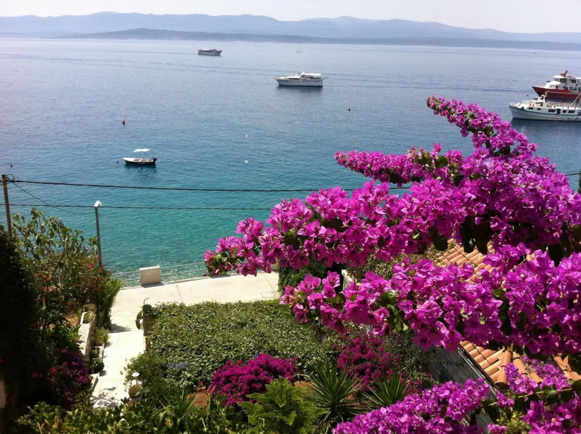 Apartment Matea A1 Bol, Island Brac - Image 1