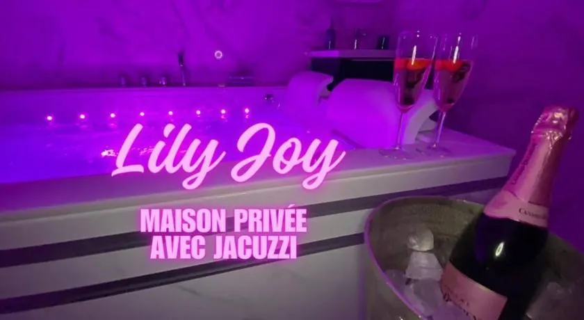 Maison avec Jacuzzi - Louvres proche Roissy CDG - Paris - Image 1