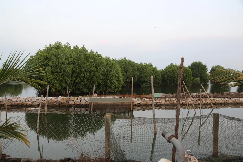 Kandal Theeram Farms - Image 1