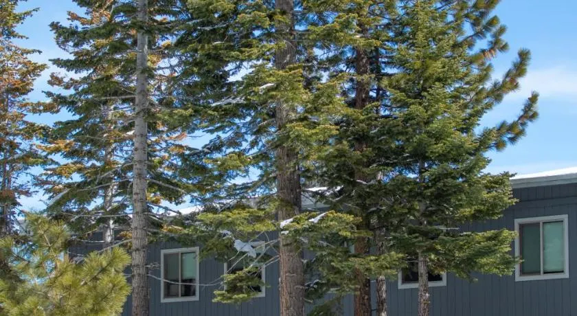 Tahoe Trail Resort - Image 1