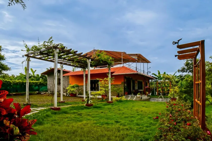 6Tamarind - Image 1