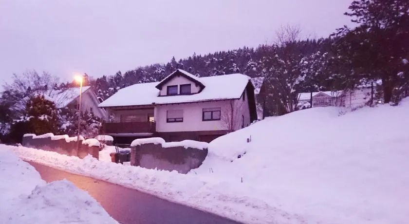 An der grünen Donau Ferienwohnung Monteurwohnung wir bieten keine Parkplätze Verpflegung oder Tücher an Parken NUR gegenüber auf der Straßenseite - Image 1