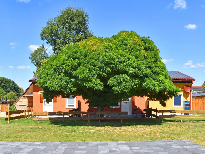 Ferienwohnung am Oase am Vilzsee - Image 1