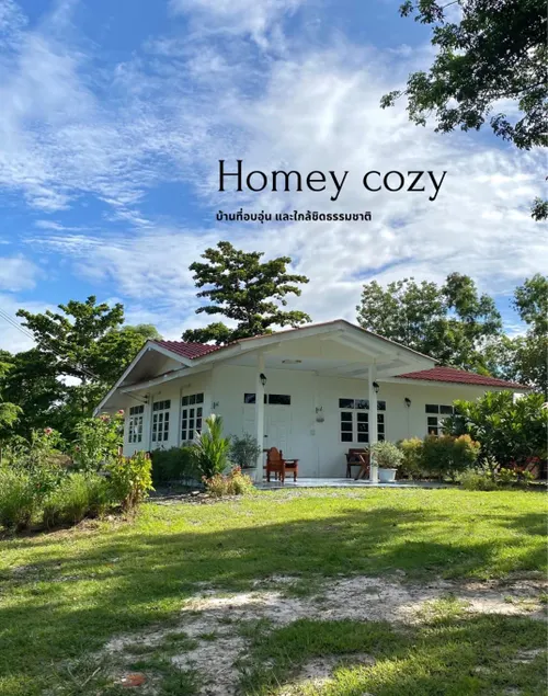 Homey cozy - Image 1
