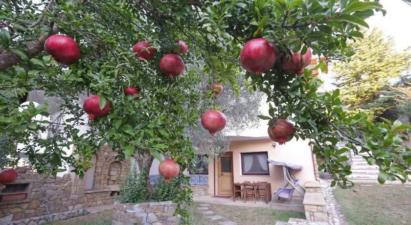 ASLANIS SOUROTI Family Home - Image 1