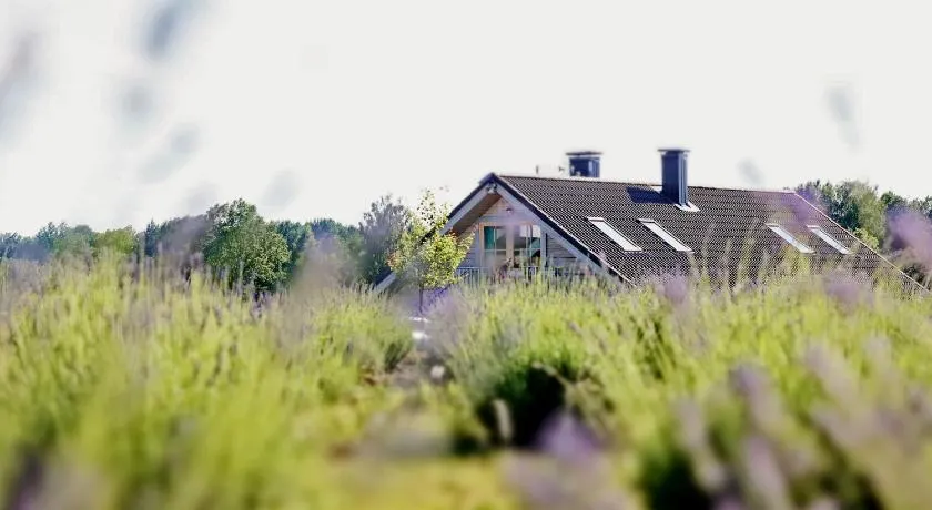 Lavender Village - Image 1