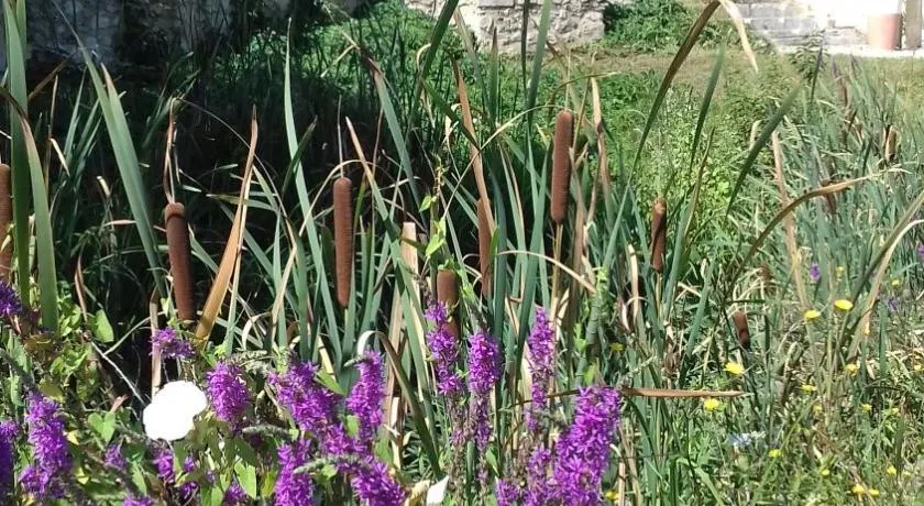 Le Clot de Meste Duran - Image 1