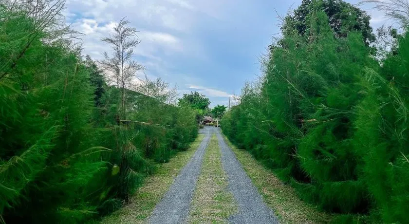 North Pine Forest Homestay บ้านไม้สนโฮมสเตย์ - Image 1