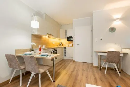 BUDAPEST DOWNTOWN Residences - AC,ELEVATOR,TERRACE - Image 1