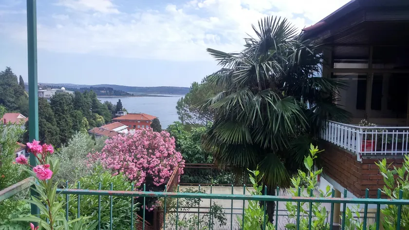 Appartement vue mer avec balcon-terrasse + patio - quartier chic, à 5 min de la plage - Image 1