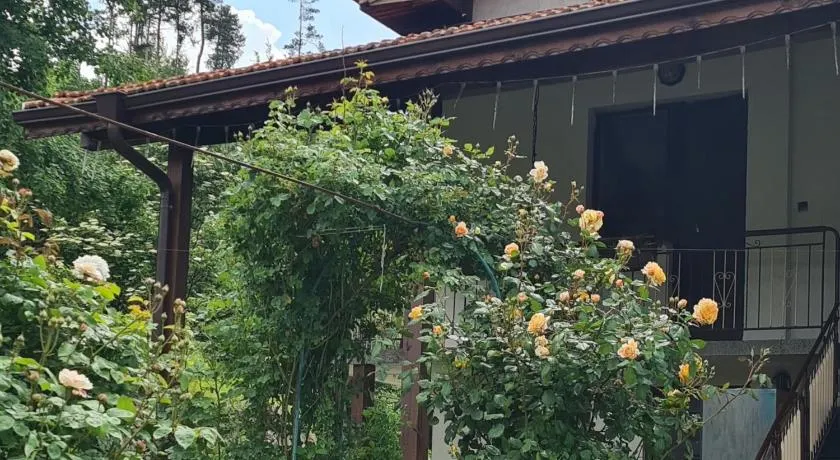 Nayri HOUSE - Image 1
