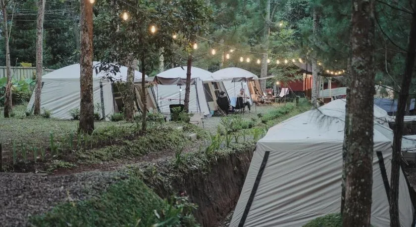 Pakis Camping Cikole - Image 1