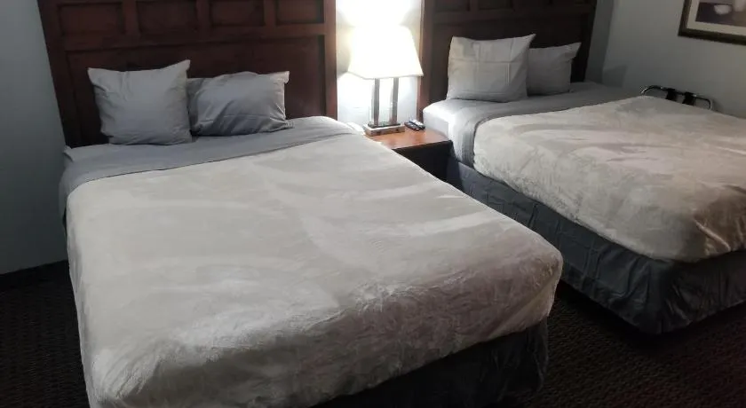 Hotel 2 Queen Beds Hotel Room 136 Wi-Fi - Image 1