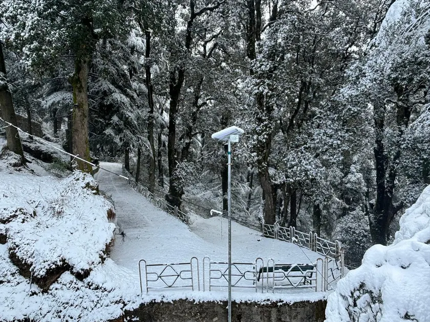 Hotel Jakhu Heights - Image 1
