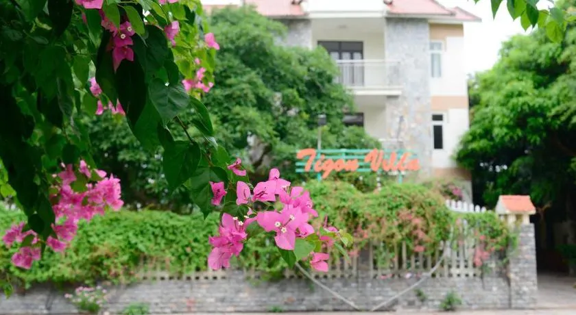 Tigon Villa - Image 1