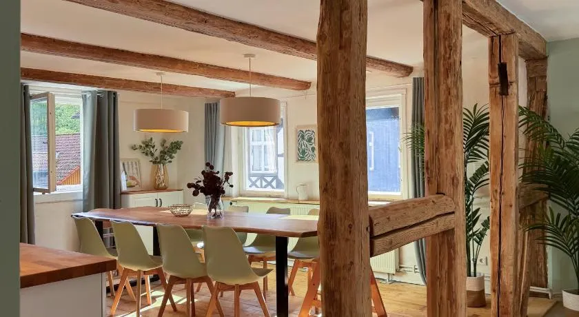 Haus Ludwig - Saniertes Fachwerkhaus im Harz - 12 Personen - Image 1