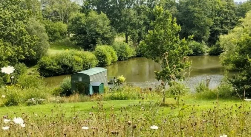 Snug & Secluded Lakeside Shepherds Hut 'Carp' - Image 1