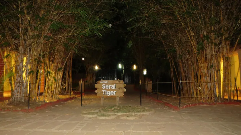 Camp Serai Tiger TADOBA - Image 1