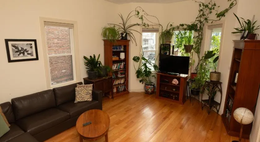 2 bedroom Boston condo in Jamaica Plain with parking - Image 1