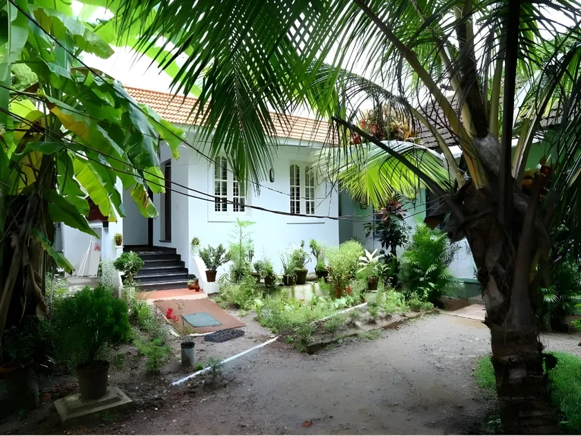 Coconut Grove - Image 1