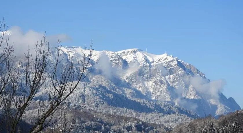 Sinaia AlpineView Residence - Image 1