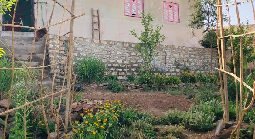 Bastet House & Haraka Baraka botanical Garden - Image 1