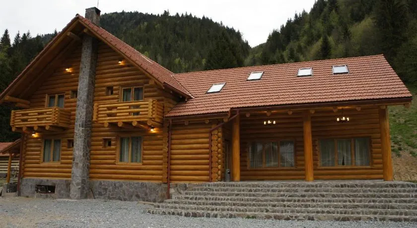Pensiunea Izbucul Tauz - Image 1