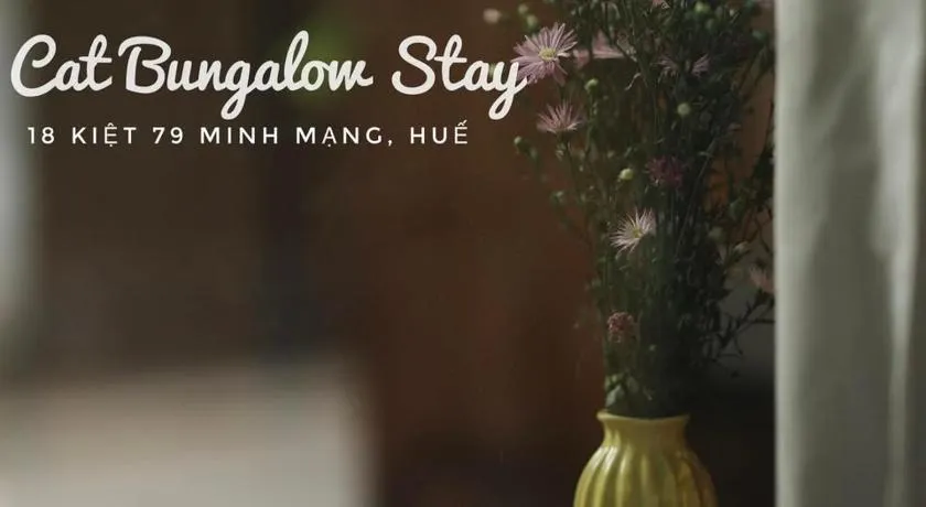 Cat Bungalow Stay - Image 1