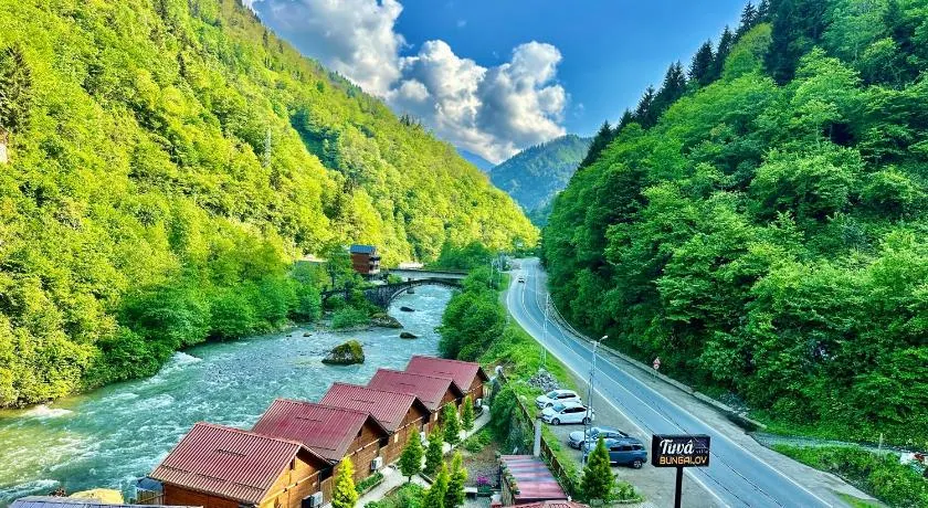 TUVA VİLLA Bungalov - Image 1