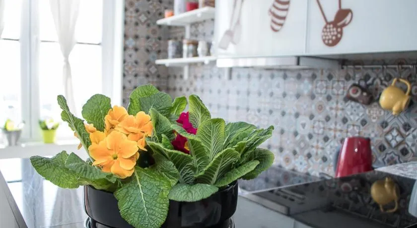Apartment Travel hub *** - Image 1